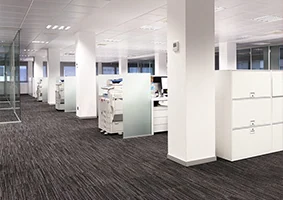 Gri çizgili karo halı kaplı ofis